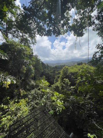 View in Costa Rica from a zipl ining bridge