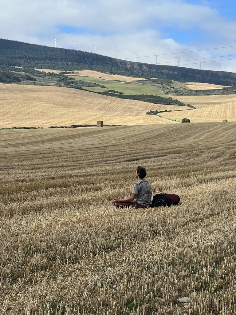 man meditating in the wheat field